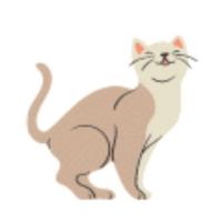 GB8YGxwYHRgcHxgWGh4ZGRYYFw==-avatar