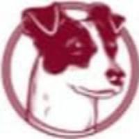 GB8ZHRsYHBcbGRwWHB4YFhwWGw==-avatar