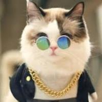 GB8YGh0ZGhYWFxgYHRcZGRwfGQ==-avatar