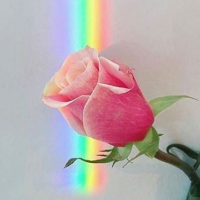 GB8YHxobGRgXHR8aHRwfGR0eFw==-avatar
