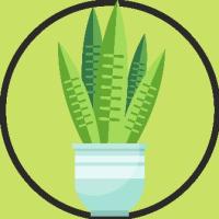 GB8YGRoWFhgXHRYeFh0dFxkYHA==-avatar