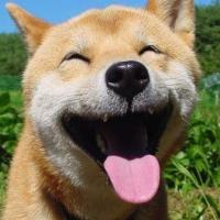 GB8YGRgWGxwcGx4aGx0eGxkaFw==-avatar