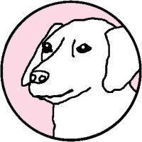 GB8XHBoeHB4eHRYaFh0dGh8WHw==-avatar