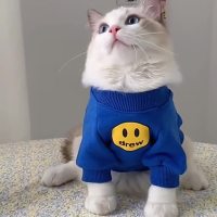 封面GB4fHRceHBocHxcfFhgbFxgbHQ==