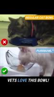 封面GB4fGBscGh0bHB8dGBkZGx4dFg==