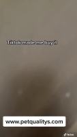 封面GB4cGR0dHB4eGB0dGB4ZGB8eFw==