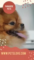 封面GB4aFhccHh0fFxwbGRkfHRgaGA==