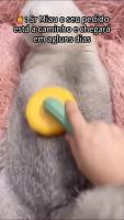 封面GB4ZHhkaGxodGBsfFxgfGxgYGw==