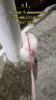 封面GB4ZFxkaFxcYFhkcHBsWHB0aGw==