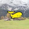 GB4ZFxsXGRwaGhwdGB4eHxsfGQ==-avatar
