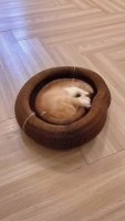 封面GB4YHxgdHhwfHRsYGBoYHBwYFw==