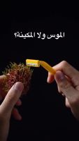 封面GB4YGhwWHxsXFhYcGxseGB4aHA==