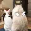 GB0fGx8fGB4fFhYWHRkXHxgcHw==-avatar