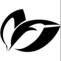 GB0eHxcfGh4WGRYdFh0fGBoaGw==-avatar