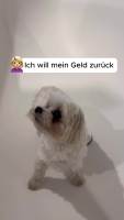 封面GBofHx4YHBsXFhoYGRwZGhweFg==